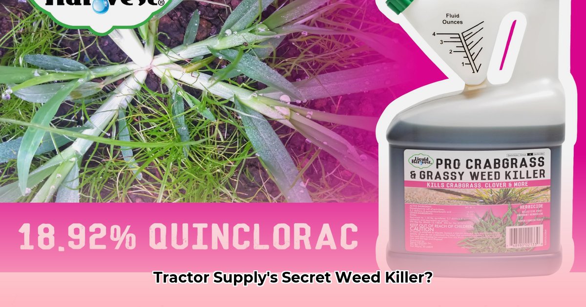 quinclorac-tractor-supply